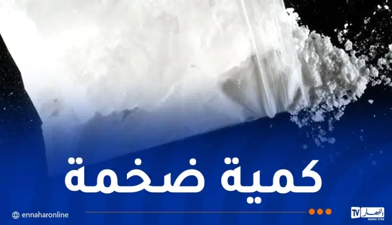 حجز قرابة 234 كلغ “كوكايين” و5 ملايين قرص مهلوس خلال موسم الاصطياف