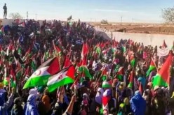 مظاهرات شعبية حاشدة للشعب الصحراوي