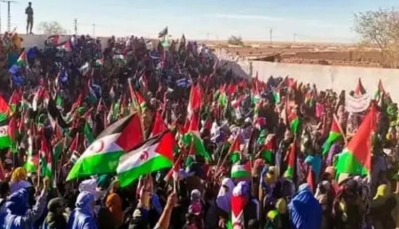 مظاهرات شعبية حاشدة للشعب الصحراوي