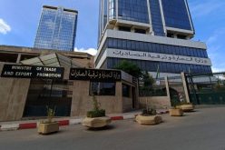 وزارة التجارة الخارجية تنظم معارض في 11 بلدا خلال السنة المقبلة
