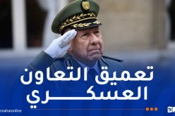 الفريق أول شنقريحة: الجزائر ساهمت بإصرار على دعم النضال لتحرير إفريقيا من الاستعمار ومن الميز العنصري