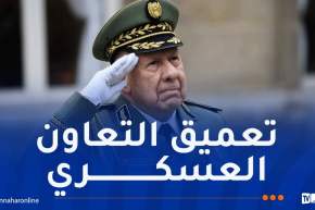 الفريق أول شنقريحة: الجزائر ساهمت بإصرار على دعم النضال لتحرير إفريقيا من الاستعمار ومن الميز العنصري