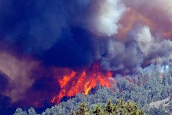 إيداع 4 أشخاص الحبس المؤقت لتورطهم في حرائق غابة الأرهاط بتيبازة