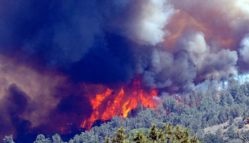إيداع 4 أشخاص الحبس المؤقت لتورطهم في حرائق غابة الأرهاط بتيبازة