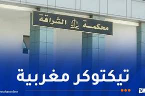 توقيف رعية مغربية بتهمة عرض “لايفات” تُسيء للجزائر