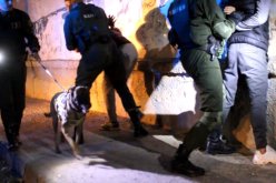 تيارت.. مداهمات واسعة مست أوكار الجريمة وتضييق الخناق على عصابات الأحياء ومروّجي المخدرات