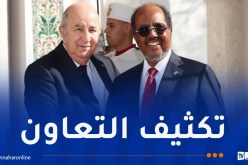 الرئيس تبون: سنستقبل  110 طلاب صوماليين للاستفادة من التكوين