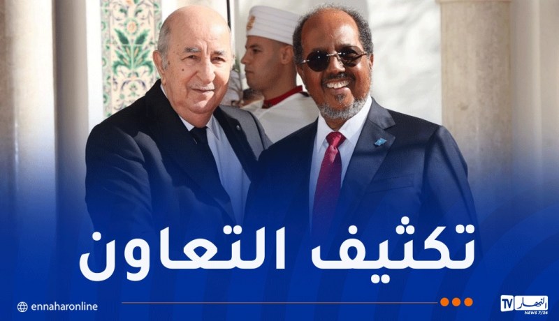 الرئيس تبون: سنستقبل  110 طلاب صوماليين للاستفادة من التكوين