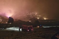 تيبازة.. استمرار جهود الإخماد لثلاثة حرائق غابات خطيرة بدعم جوي وبري