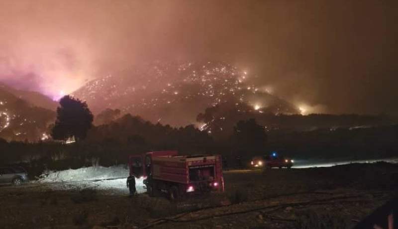 تيبازة.. استمرار جهود الإخماد لثلاثة حرائق غابات خطيرة بدعم جوي وبري