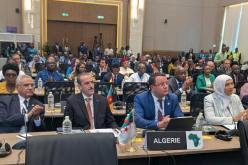 الجزائر تواصل مشاركتها في أشغال اللجنة التنفيذية للاتحاد البرلماني الإفريقي بكينشاسا