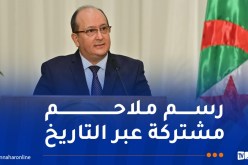 الوزير الأول: في لقائي مع السيسي لمست الإرادة التي تحذوه لمواصلة العمل مع الرئيس تبون