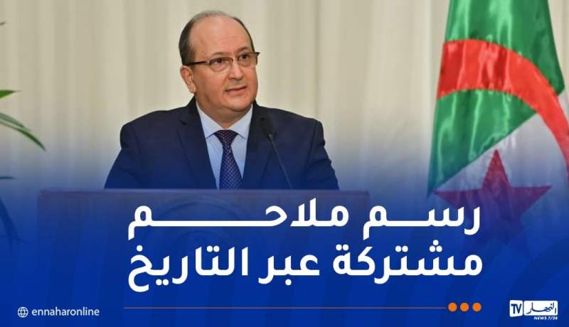 الوزير الأول: في لقائي مع السيسي لمست الارادة التي تحذوه لمواصلة العمل مع الرئيس تبون