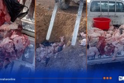 تيسمسيلت..  حجز أكثر من 142 كلغ من مواد فاسدة بثنية الحد