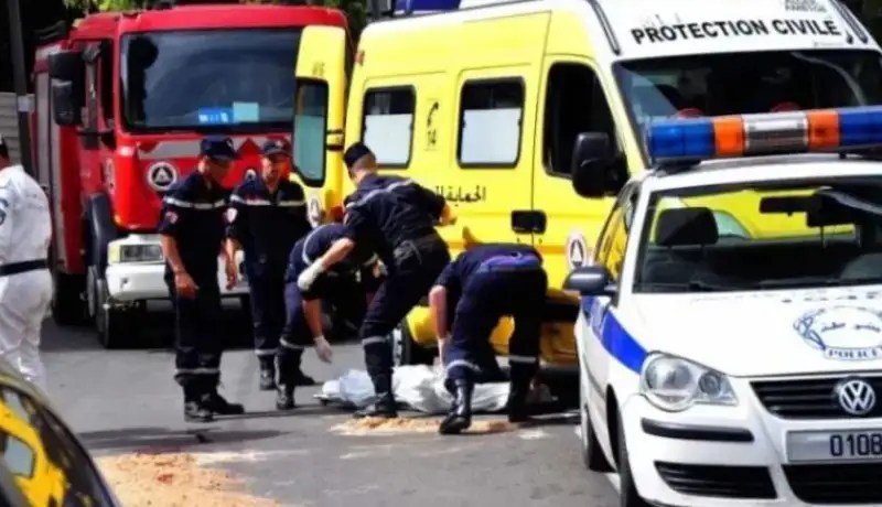 الجلفة.. وفاة شخص دهسته سيارة بالشارف