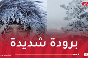 أمطار وجليد وبرودة بهذه الولايات غدا السبت