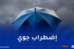 أمطار رعدية بداية من الإثنين