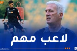 بيتكوفيتش يستفسر عن جاهزية قندوسي !