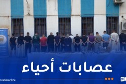 بينهم امرأة.. توقيف 19 مشتبها فيه عن قضايا الاعتداءات السرقة والمخدرات بالبليدة