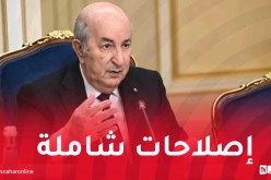 رئيس الجمهورية: الجزائر جعلت من الأمن الغذائي أولوية وطنية