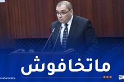 وزير العدل: هكذا ستتم حماية المُبلّغين عن الجرائم