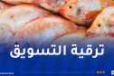 منصة رقمية جديدة لتسويق سمك البلطي الأحمر