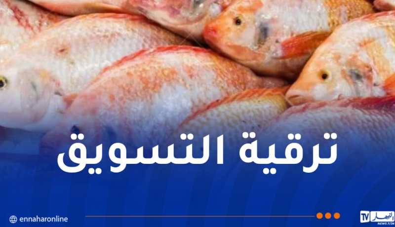 منصة رقمية جديدة لتسويق سمك البلطي الأحمر