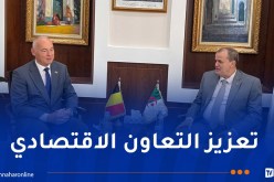 رزيق يُشدّد على أهمية تفعيل مجلس الأعمال الجزائري البلجيكي