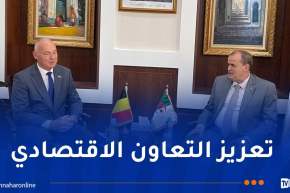 رزيق يُشدّد على أهمية تفعيل مجلس الأعمال الجزائري البلجيكي