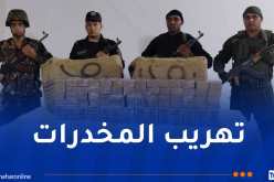 حجز أزيد من نصف قنطار كيف معالج بأدرار