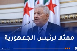 ناصري يُشارك في الاحتفالات المُخلدة للذّكرى الـ 50 لاستقلال أنغولا