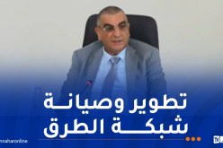 جلاوي يُتابع مدى تقدم مشاريع الأشغال العمومية بالجنوب