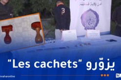 قسنطينة: توقيف 3 أشخاص في قضية تزوير وحجز أختام إدارية مزوّرة بالخروب