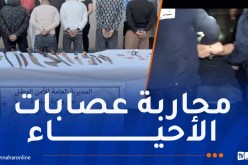 البليدة: توقيف 17 شخصا وحجز أسلحة بيضاء ومخدرات بوادي العلايق