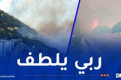 عملية الإخماد متواصلة.. إندلاع حريق غابة بالأرهاط في تيبازة