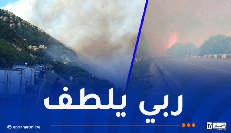 عملية الإخماد متواصلة.. إندلاع حريق غابة بالأرهاط في تيبازة