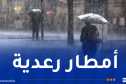 أمطار رعدية غزيرة بداية من الإثنين