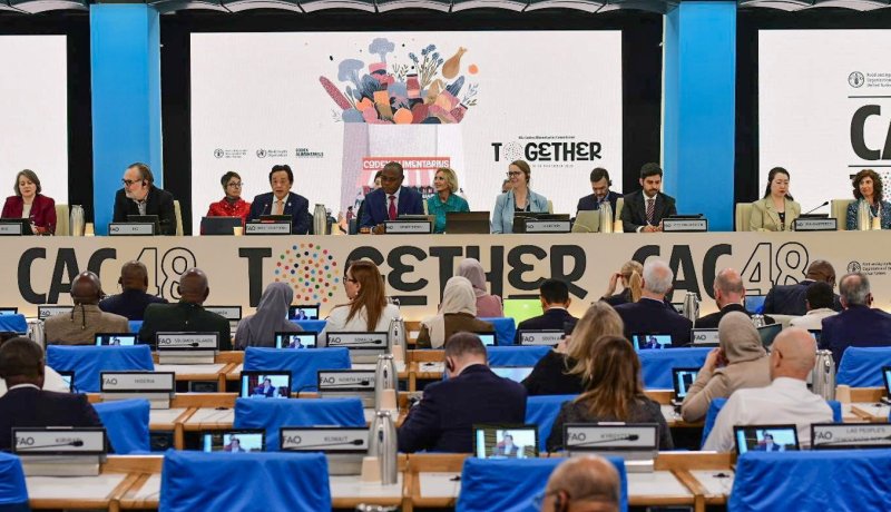 اعتماد مواصفة عالمية للتمور الطازجة