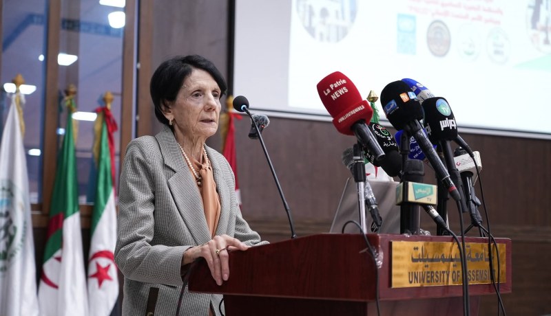 عسلاوي: تمكين المواطن من القضاء الدستوري ضمانة قوية لحماية حقوقه الأساسية