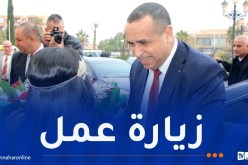 وزير الطاقة يتفقّد أداء القطاع بالجلفة