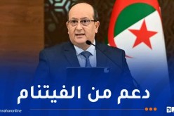 غريب: انضمام الجزائر إلى معاهدة الصداقة والتعاون في جنوب شرق آسيا فرصة لمواصلة العمل مع فيتنام