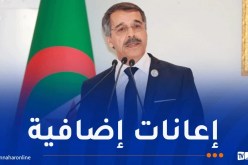 وزير  المالية يدعو إلى التفكير في منح إعانات إضافية للمتعثرين في انجاز سكناتهم