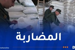 درك سطيف يكشف ورشة ويحجز كميات معتبرة من أعلاف الحيوانات