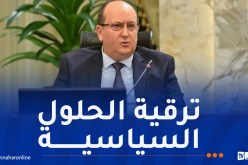 الوزير الأول: التنسيق والتشاور مع مصر لمجابهة التحديات التي تواجه المنطقة العربية