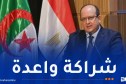 الوزير الأول: إرتفاع المبادلات التجارية بين الجزائر ومصر إلى 870 مليون دولار أمريكي
