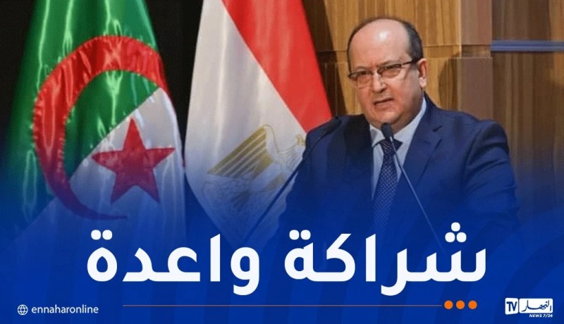 الوزير الأول: إرتفاع المبادلات التجارية بين الجزائر ومصر إلى 870 مليون دولار أمريكي