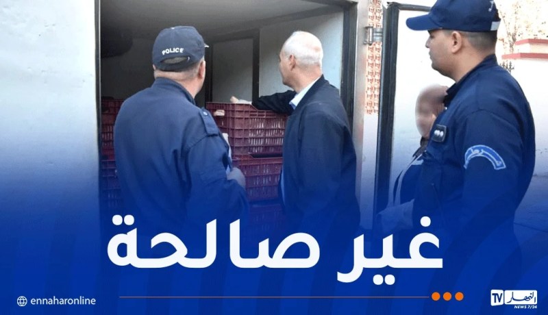 تيسمسيلت: حجز أكثر من 18 قنطارًا من الدجاج الفاسد وتوقيف المتورطين