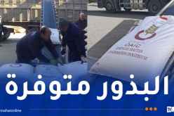 تعليمات لتوسيع الأراضي الفلاحية المخصصة لزراعة القمح الصلب