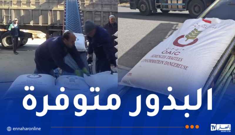 تعليمات لتوسيع الأراضي الفلاحية المخصصة لزراعة القمح الصلب