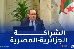 توسعت إلى وفدي البلدين.. الوزير الأول يجري محادثات مع رئيس مجلس الوزراء المصري